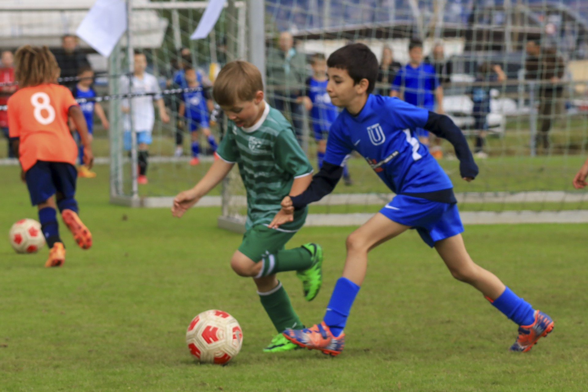 Sekulic_2024_23.06.24-131