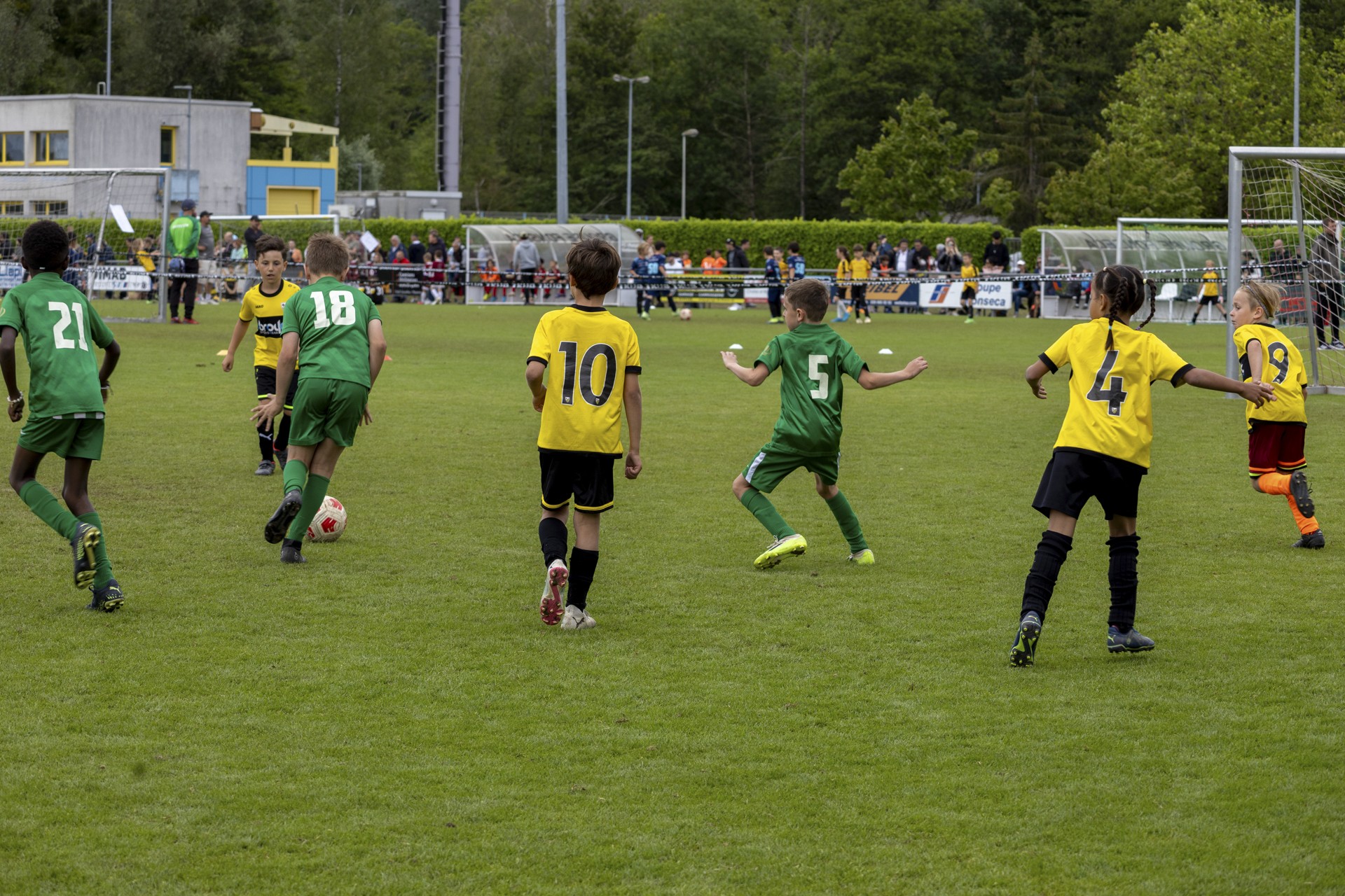 Sekulic_2024_23.06.24-153