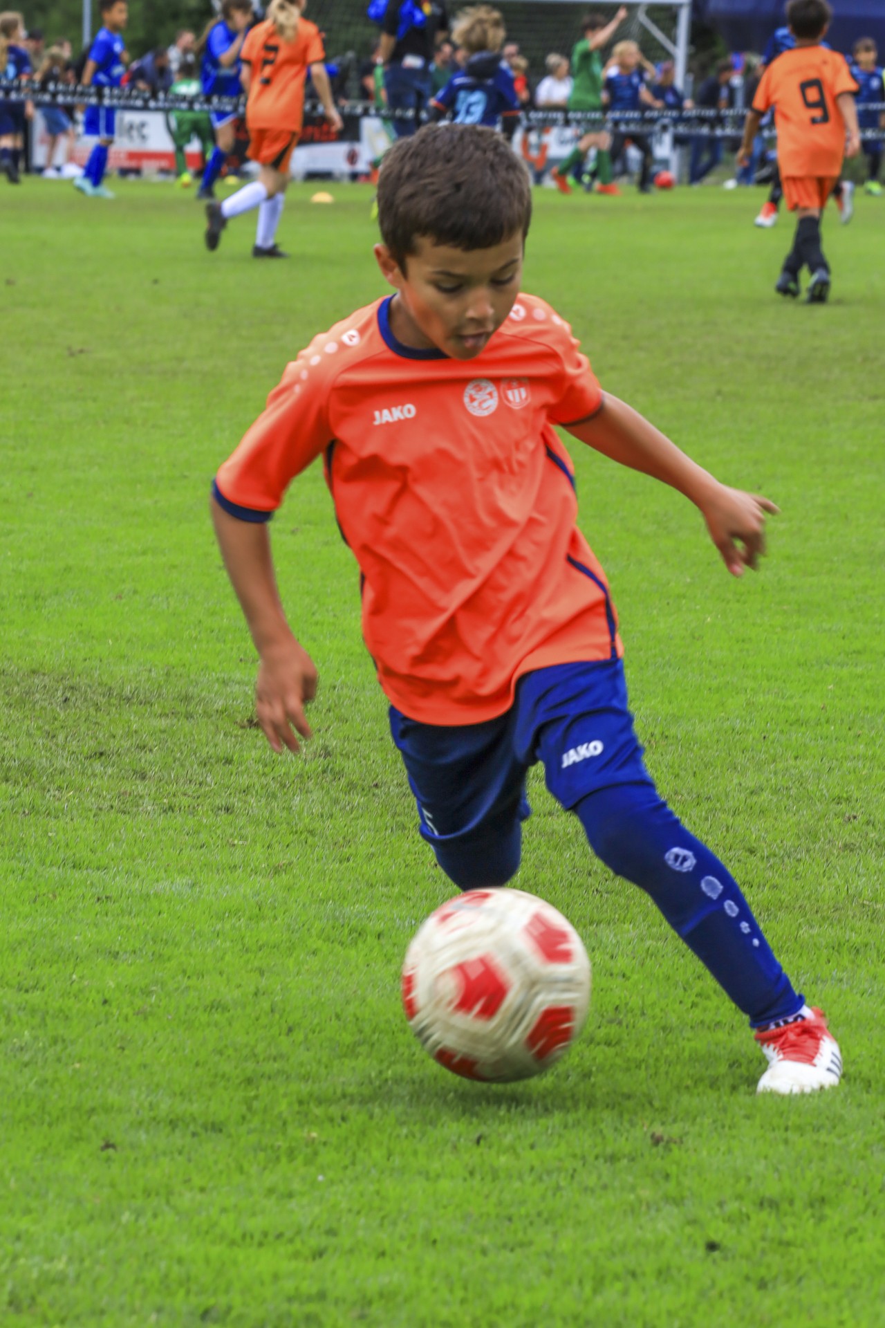 Sekulic_2024_23.06.24-80