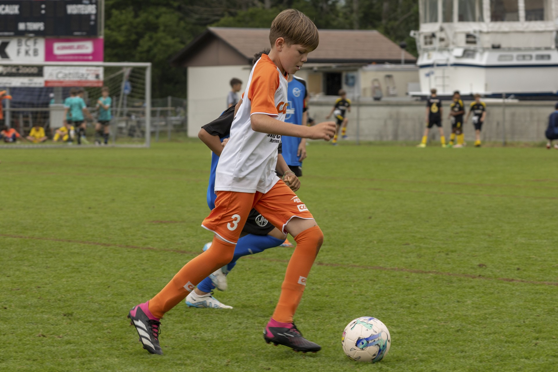 Sekulic_2024_29.06.24-135