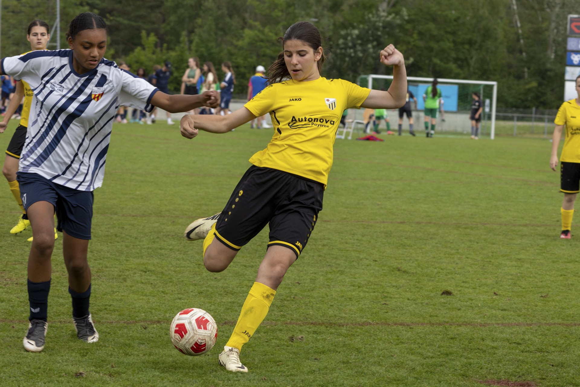 Sekulic_2024_29.06.24-151