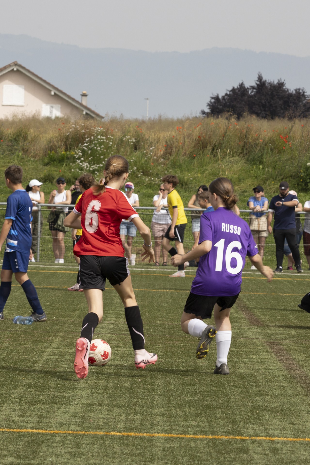 Sekulic_2024_29.06.24-80